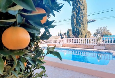 Вилла в Calpe / Calp, продажа