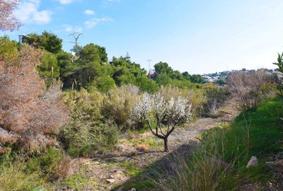 Земельный участок в Benissa, La Fustera, продажа