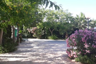 Вилла в Elche, Elche, продажа