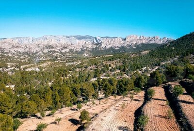 Земельный участок в Altea, продажа