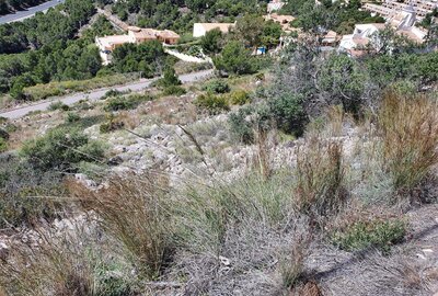 Земельный участок в Calpe / Calp, продажа