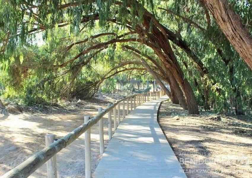Вилла класса люкс в Torrevieja, продажа