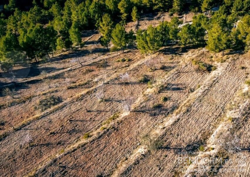 Земельный участок в Altea, продажа