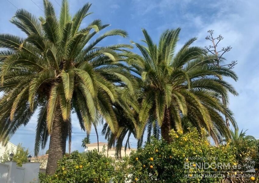 Вилла в Calpe / Calp, продажа