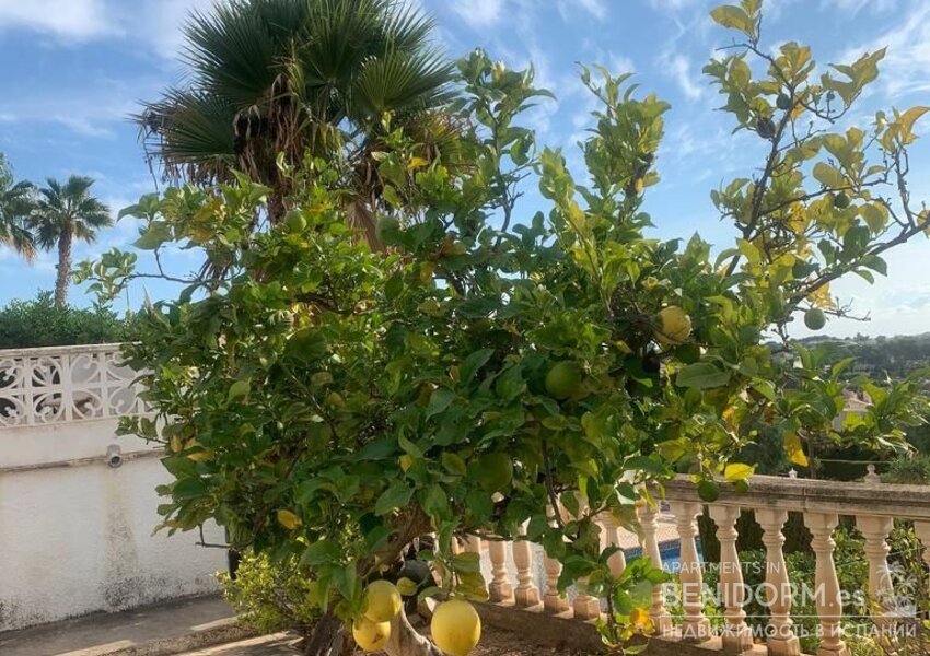 Вилла в Calpe / Calp, продажа