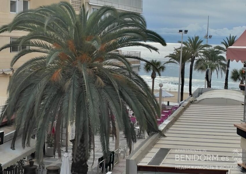 Квартира в Benidorm, plaza triangular, продажа