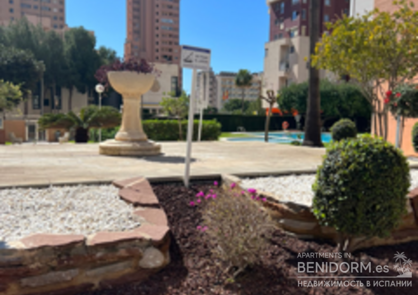 Квартира в Benidorm, juzgados, продажа