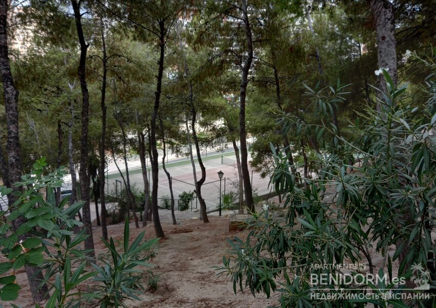 Квартира в Benidorm, продажа