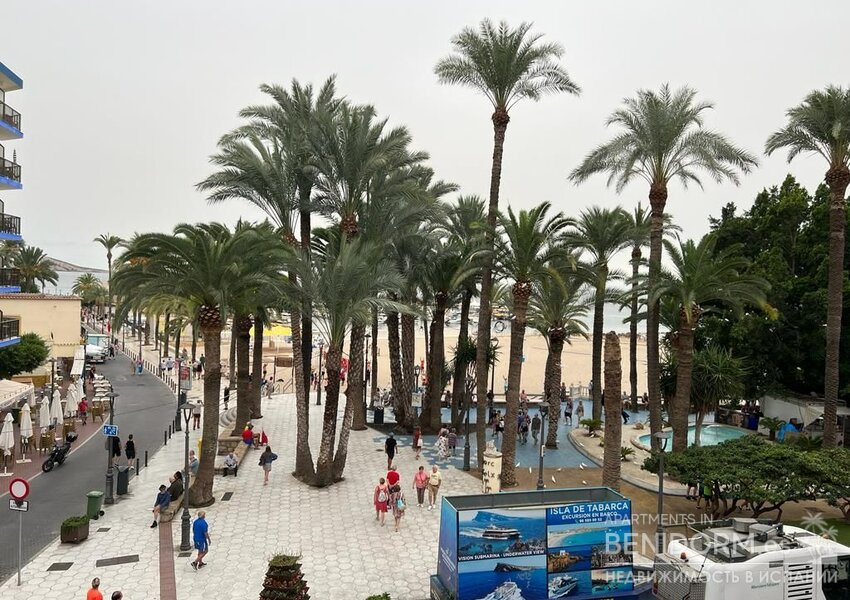 Квартира в Benidorm, продажа