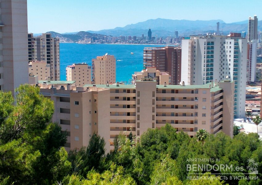 Квартира в Benidorm, продажа
