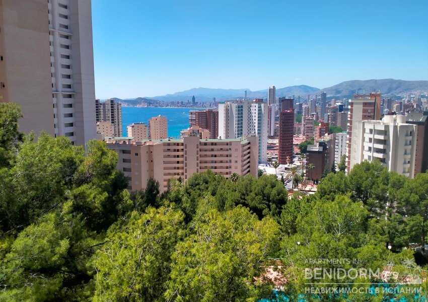Квартира в Benidorm, продажа