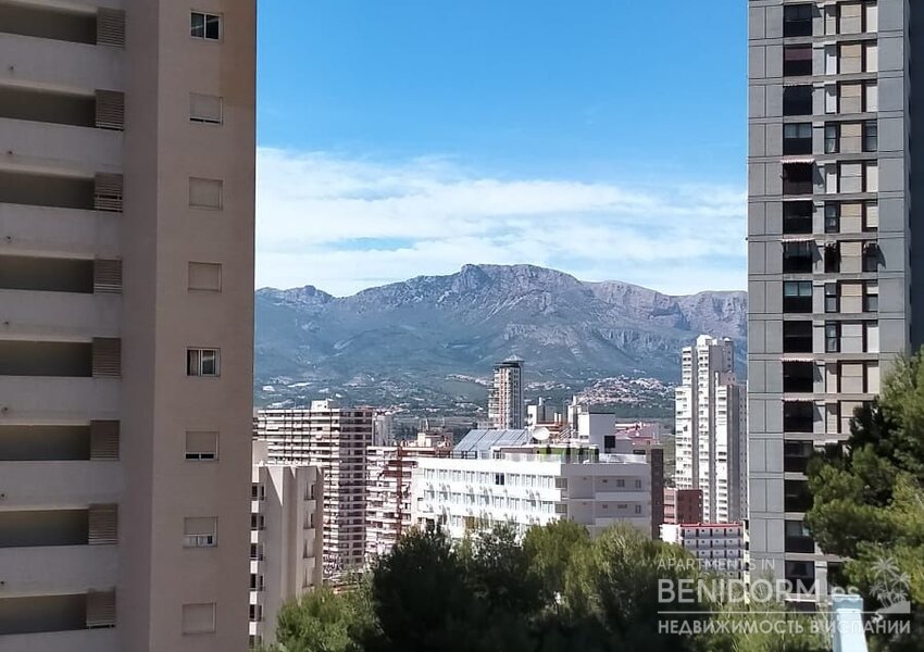 Квартира в Benidorm, продажа