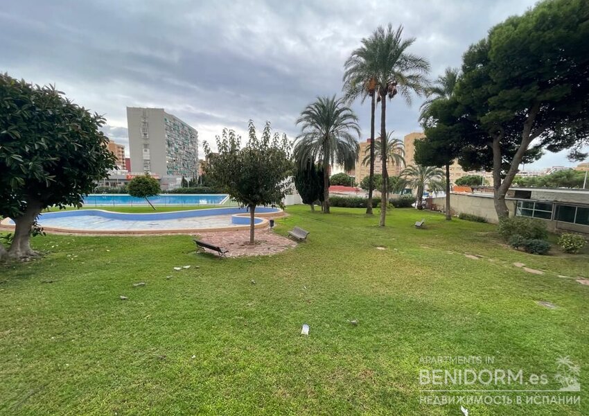 Студия в Benidorm, plaza de toros, продажа