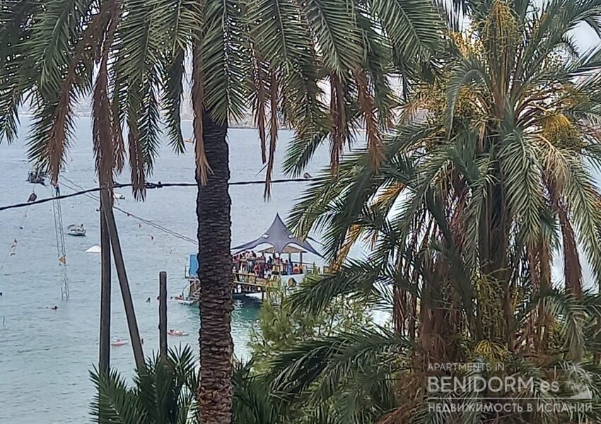 Студия в Benidorm, levante, продажа