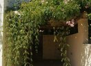 Вилла в Jávea, продажа
