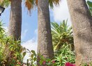 Вилла класса люкс в Dénia, Santa Lucia, продажа