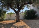 Вилла класса люкс в Calpe / Calp, Carrio, продажа