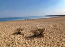 Вилла в Dénia, Las Marinas, продажа