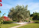 Вилла в Dénia, Torrecarrals, продажа