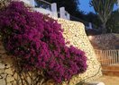 Вилла в Calpe / Calp, manzanera, продажа