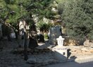 Вилла в Torrevieja, La mata, продажа