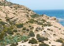 Вилла класса люкс в Alicante, продажа