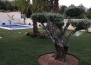 Вилла в Polop de la Marina, alberca, продажа
