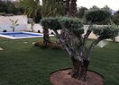 Вилла в Polop de la Marina, alberca, продажа