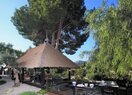 Коммерческое помещение в Calpe / Calp, продажа