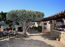 Коммерческое помещение в Calpe / Calp, продажа