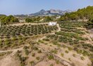 Дом в деревне в Altea, продажа