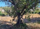 Вилла в Calpe / Calp, продажа