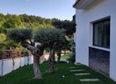 Вилла класса люкс в Altea, продажа