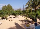 Вилла класса люкс в El Albir / L'Albir, продажа