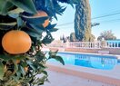 Вилла в Calpe / Calp, продажа