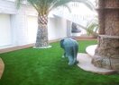 Вилла класса люкс в Alicante, продажа