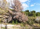 Земельный участок в Benissa, La Fustera, продажа