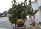 Вилла в Calpe / Calp, manzanera, продажа