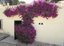 Вилла в Moraira, MORAVIT, продажа