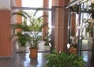 Дуплекс в Calpe / Calp, 1 LINEA, продажа
