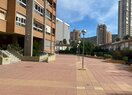 Апартамент в Benidorm, продажа