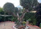 Вилла в Calpe / Calp, продажа