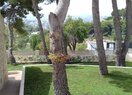 Вилла в Moraira, продажа