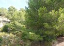 Земельный участок в Calpe / Calp, продажа