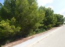 Земельный участок в Calpe / Calp, продажа