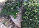 Вилла в Moraira, El Portet, продажа