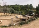 усадьба в Polop de la Marina, продажа