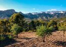 Земельный участок в Altea, продажа