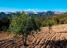 Земельный участок в Altea, продажа