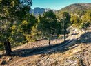 Земельный участок в Altea, продажа